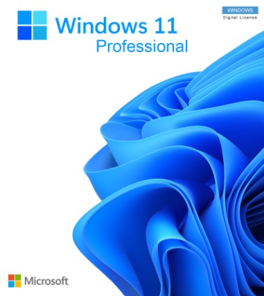 Windows 11 Professional CD Key (Digital Download - Lifetime)